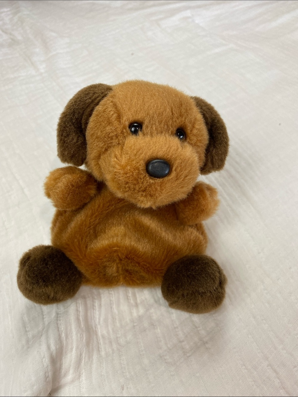 Palm pals plush puppy